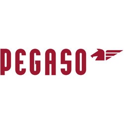 PEGASO